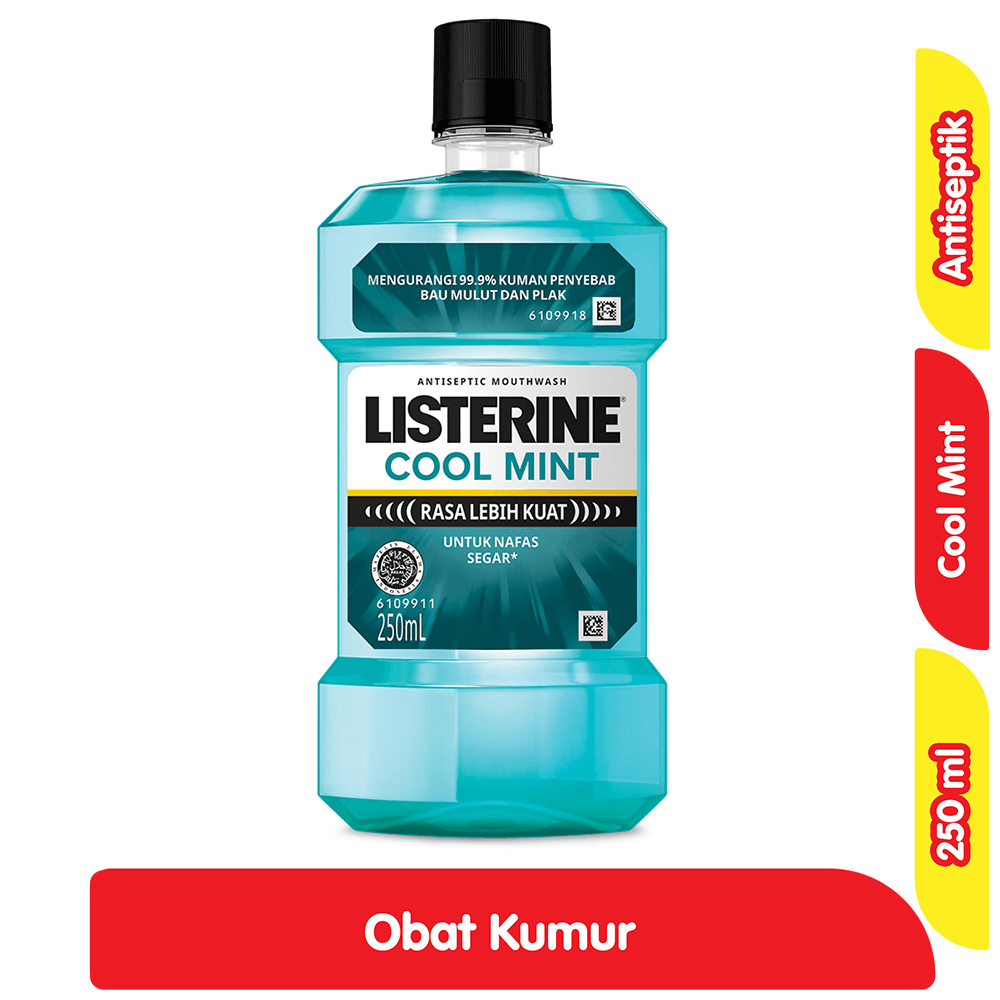 Listerine Obat Kumur Antiseptik Cool Mint 250 ml