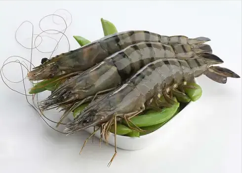 Udang  Wangkang